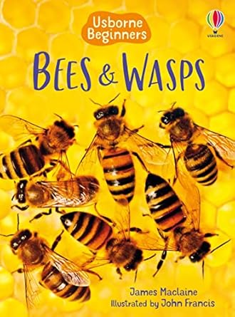 Bees and Wasps (Usborne Books)