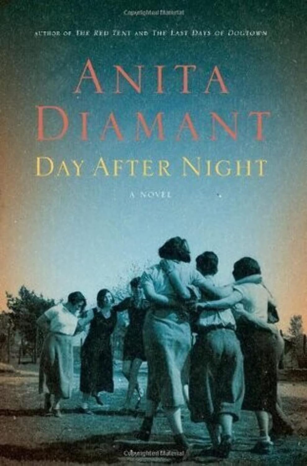Day After Night (Diamant)