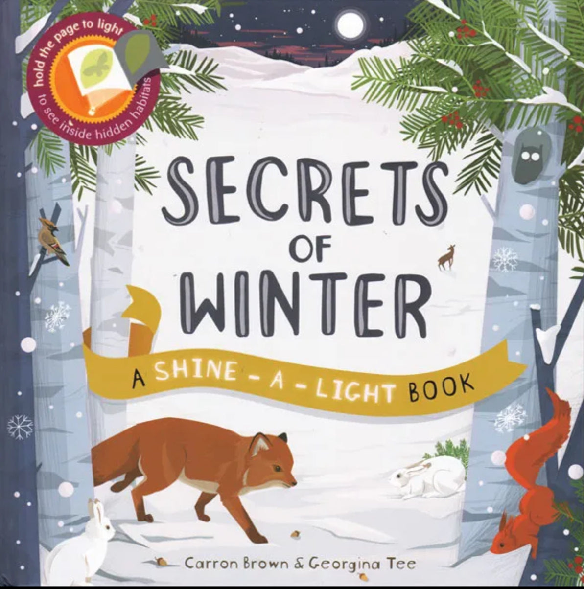 Secrets Of Winter: A Shine The Light Book (Carron Brown & Stef Murphy)