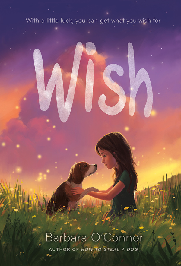 The Wish (Barbara O'Connor)